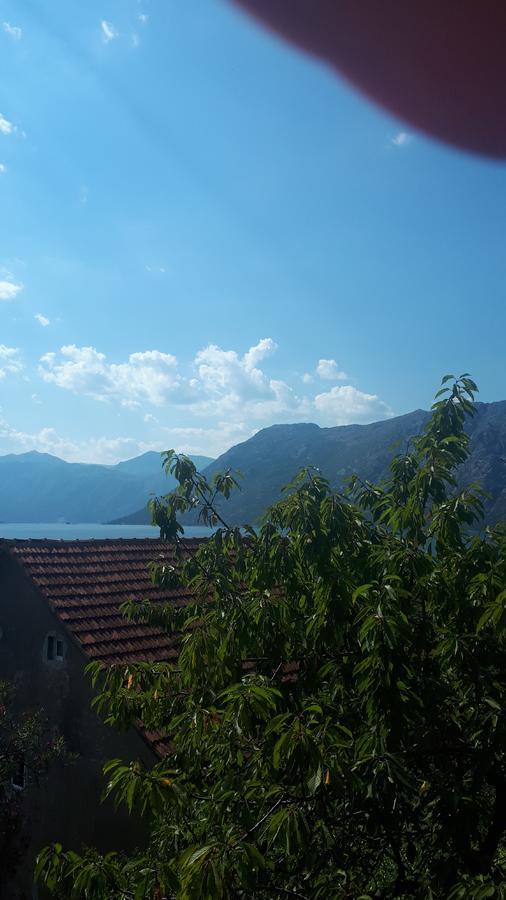Apartments Katarina Kotor Exterior photo